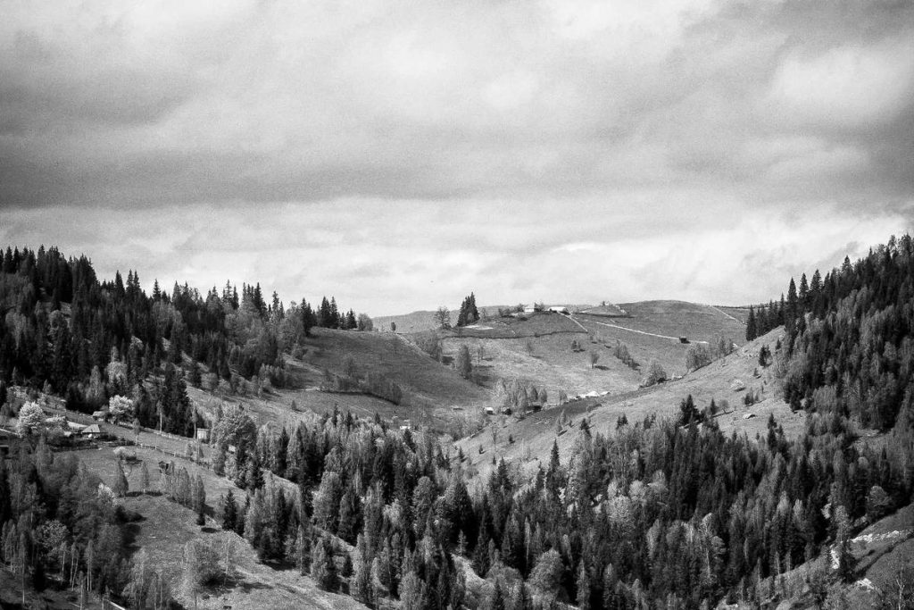 Mengapa Indonesia Jadi Pusat Penipuan Lowongan Kerja Terbesar di Kawasan?