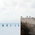 Puluhan Ribu Lowongan Dibuka, 4.000 Warga Lombok Barat Berangkat Bekerja ke Malaysia Tiap Tahun