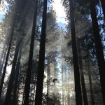 Majalah ICT – Menjawab Lonjakan Minat Berkarir di Luar Negeri, Jobstreet by SEEK Tawarkan Panduan Aman Pencarian Lapangan Kerja