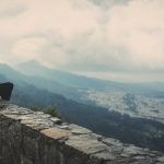 Menteri P2MI sebut terdapat 1,7 juta lowongan kerja di luar negeri