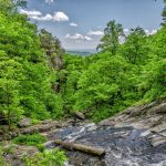 Wira Karitas Buka Lowongan Kerja Nol Biaya ke UEA