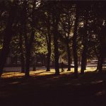 Lowongan Kerja Management Trainee Paragon Corp Terbaru Desember 2025