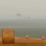 KP2MI catat ada 258.000 lowongan kerja tersedia di luar negeri