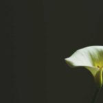 Pemkot Serang Perkuat Ekosistem Pelatihan dan Penempatan Kerja Dalam dan Luar Negeri