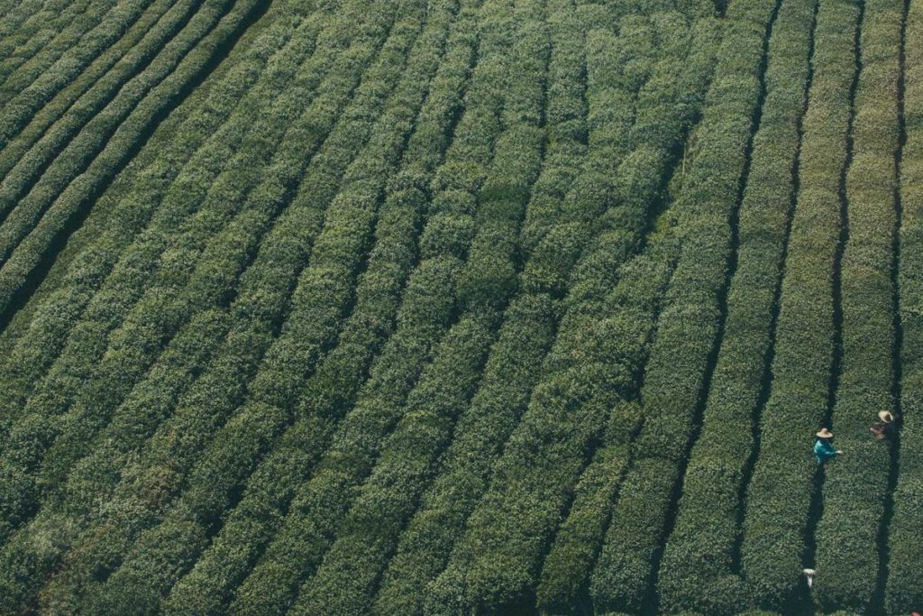 BP2MI Kembali Sosialisasikan Peluang Kerja Luar Negeri dan Pelindungan Menyeluruh PMI di Purwakarta