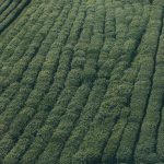 BP2MI Kembali Sosialisasikan Peluang Kerja Luar Negeri dan Pelindungan Menyeluruh PMI di Purwakarta