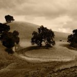 Fadly Amran Ajak Generasi Muda Tidak Malas Cari Pekerjaan