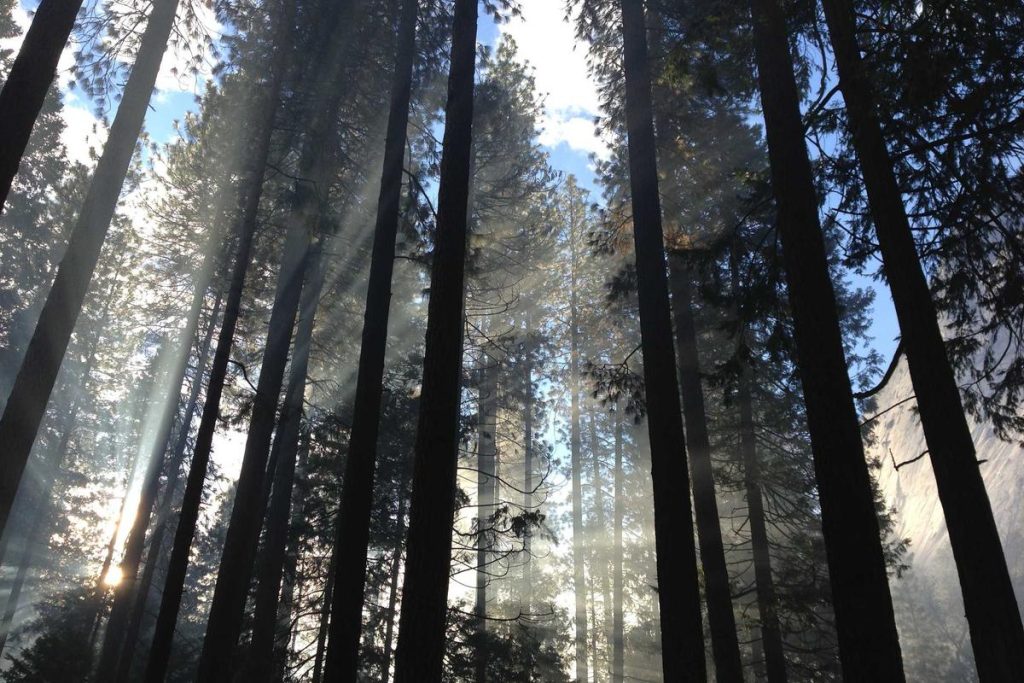 Pemerintah Kota Tangerang Bekali Pencari Kerja dengan Informasi Kerja Luar Negeri yang Aman dan Legal