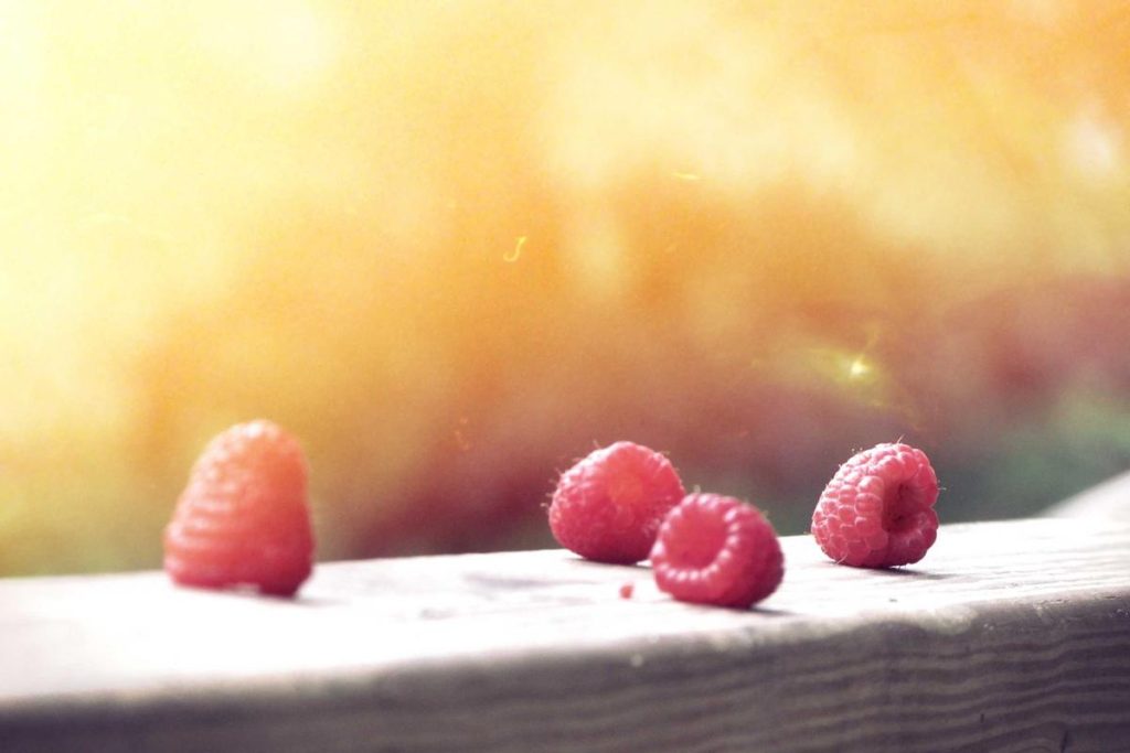 Kementerian P2MI tawarkan 7.600 peluang kerja luar negeri