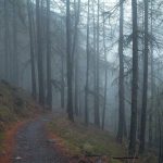 Menteri P2MI: Ada 352 Ribu Lowongan Kerja di Luar Negeri, Baru 20 Persen WNI yang Lamar