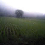 Permintaan Pekerja Migran Berketerampilan Menengah dan Tinggi Meningkat