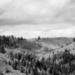 Mengapa Indonesia Jadi Pusat Penipuan Lowongan Kerja Terbesar di Kawasan?