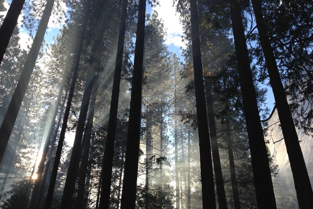 Majalah ICT – Menjawab Lonjakan Minat Berkarir di Luar Negeri, Jobstreet by SEEK Tawarkan Panduan Aman Pencarian Lapangan Kerja