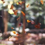 Program SMK Go Global Dimulai Akhir Tahun, Pemerintah Kirim Lulusan SMA/SMK Kerja ke Luar Negeri