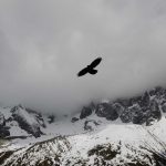 Pemerintah Dorong Penyiapan 500 Ribu Pekerja Migran Lewat Jakarta Job Fest 2025