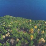 Job Fair Hybrid Situbondo Naik Kelas Sediakan 3.596 Lowongan Pekerjaan