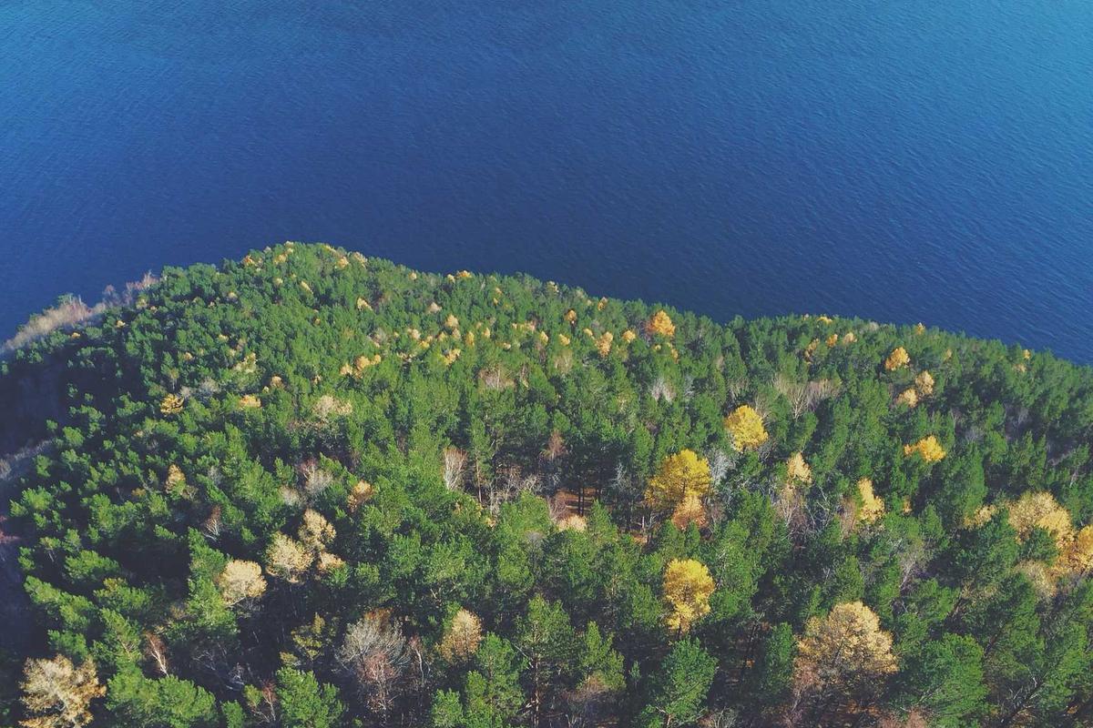 Job Fair Hybrid Situbondo Naik Kelas Sediakan 3.596 Lowongan Pekerjaan