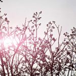 BP3MI Aceh antisipasi migrasi ilegal pekerja migran pascabencana banjir