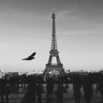 105 Ribu Warga Bekasi Pengangguran, Pemkot Buka Peluang Kerja ke Luar Negeri