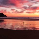 5 Ciri Penipuan Berkedok Lowongan Kerja, Ribuan WNI Jadi Korban