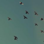 Lowongan Kerja Management Trainee Paragon Januari 2026