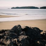 Denpasar Job Fair 2026 Targetkan Serap 1.200 Tenaga Kerja