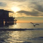 Sulit Cari Kerja, Warga Selandia Baru Ramai-ramai Kabur ke Luar Negeri