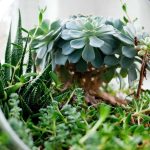 500 Ribu TKI Bakal Dikirim ke Luar Negeri Tahun Depan, Lulusan SMK Diprioritaskan