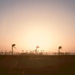 Dorong Terciptanya PMI Terampil dan Profesional, BP3MI Sumsel Hadirkan TANJAK PMI