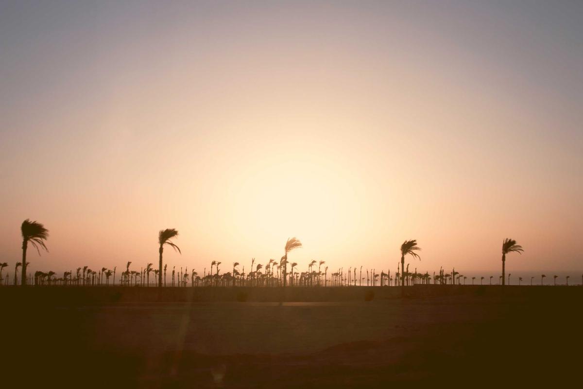 Dorong Terciptanya PMI Terampil dan Profesional, BP3MI Sumsel Hadirkan TANJAK PMI