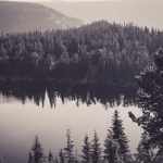 Warga RI Disuruh Adu Nasib di Luar Negeri: Perawat-ART Paling Favorit