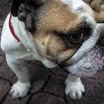 7 Prediksi Karier yang Paling Banyak Dicari di Tahun 2026