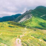 Lowongan Dalam Negeri Makin Sulit, Anak Muda Serbu LPK Kapal Pesiar, Jepang & Jerman