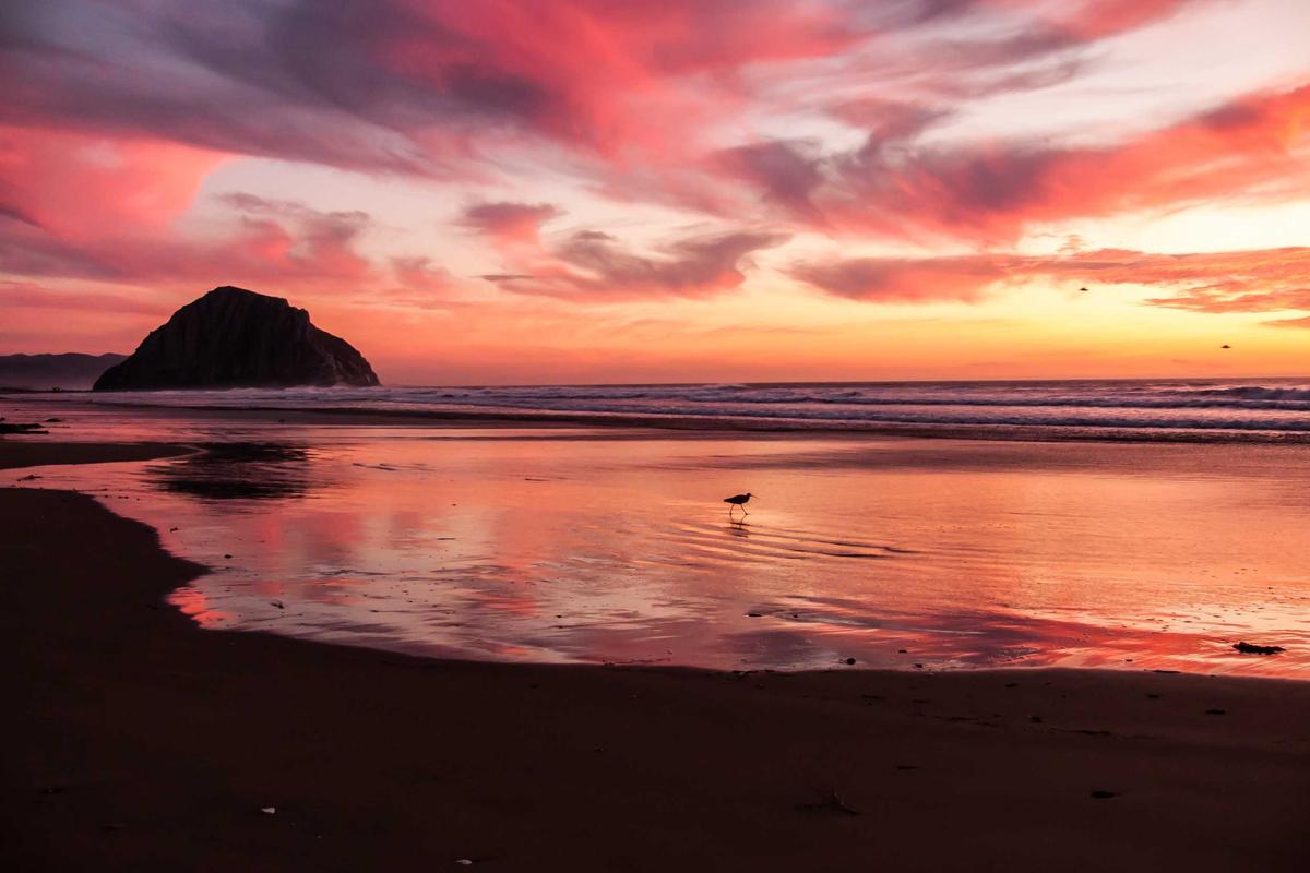 Lowongan Kerja Luar Negeri untuk Lulusan SMA-SMK & Websitenya