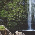 Lowongan Kerja Luar Negeri untuk Lulusan SMA-SMK & Websitenya