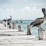 Lowongan Kerja Luar Negeri untuk Lulusan SMA-SMK & Websitenya