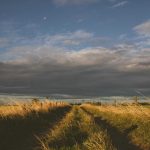 BP3MI Sultra: 9.183 Lowongan Kerja Luar Negeri Dibuka, Sistem Rebutan Nasional hingga 2026