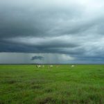 Ada Loker Perawat di Negara Eropa Ini untuk Lulusan D3-S1, Gaji Rp 55 Juta!