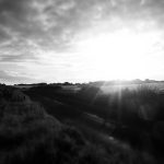 Kemdiktisaintek dan BKN Bahas Langkah Konkret untuk Optimalisasi Status Kepegawaian Dosen