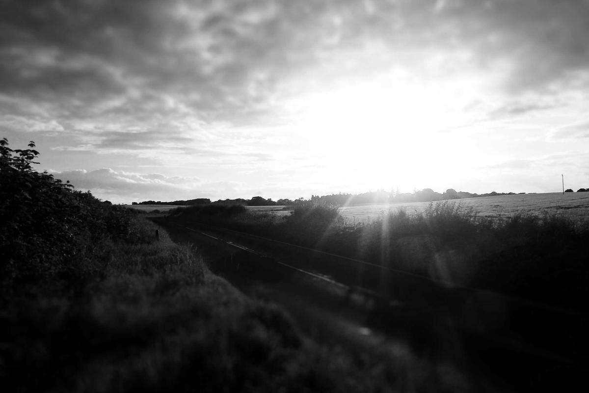 Kemdiktisaintek dan BKN Bahas Langkah Konkret untuk Optimalisasi Status Kepegawaian Dosen