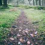 Optimalkan Bursa Kerja, Pemda KLU Inventarisasi Lowongan Kerja di Perusahaan