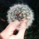 ITS – Kinobi Berkolaborasi Tingkatkan Teknologi Pendidikan