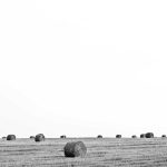 Daftar Kampus di Pontianak yang Menawarkan Jurusan Informatika dengan Fasilitas Terbaik