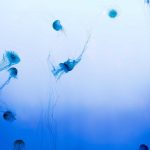 ULM Bidik Pasar Kerja Global Melalui Pendirian Migran Centre