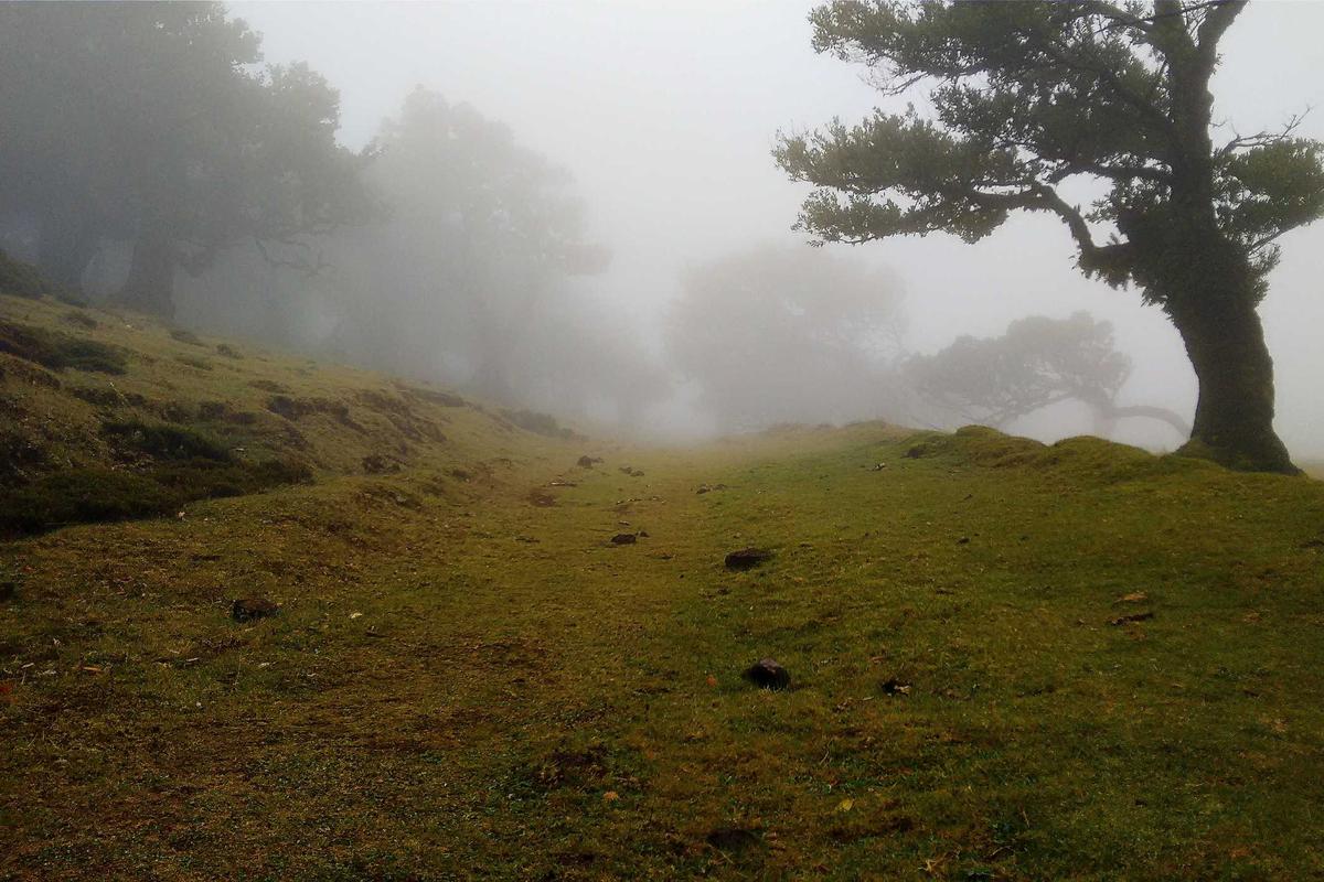 Kajati Jatim Resmi Menyandang Gelar Profesor Kehormatan Unair, Ungkap Tantangan Manajemen Talenta di Kejaksaan – kejati
