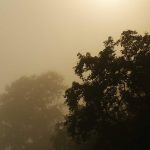 Lowongan Kerja Luar Negeri untuk Lulusan SMA-SMK & Websitenya